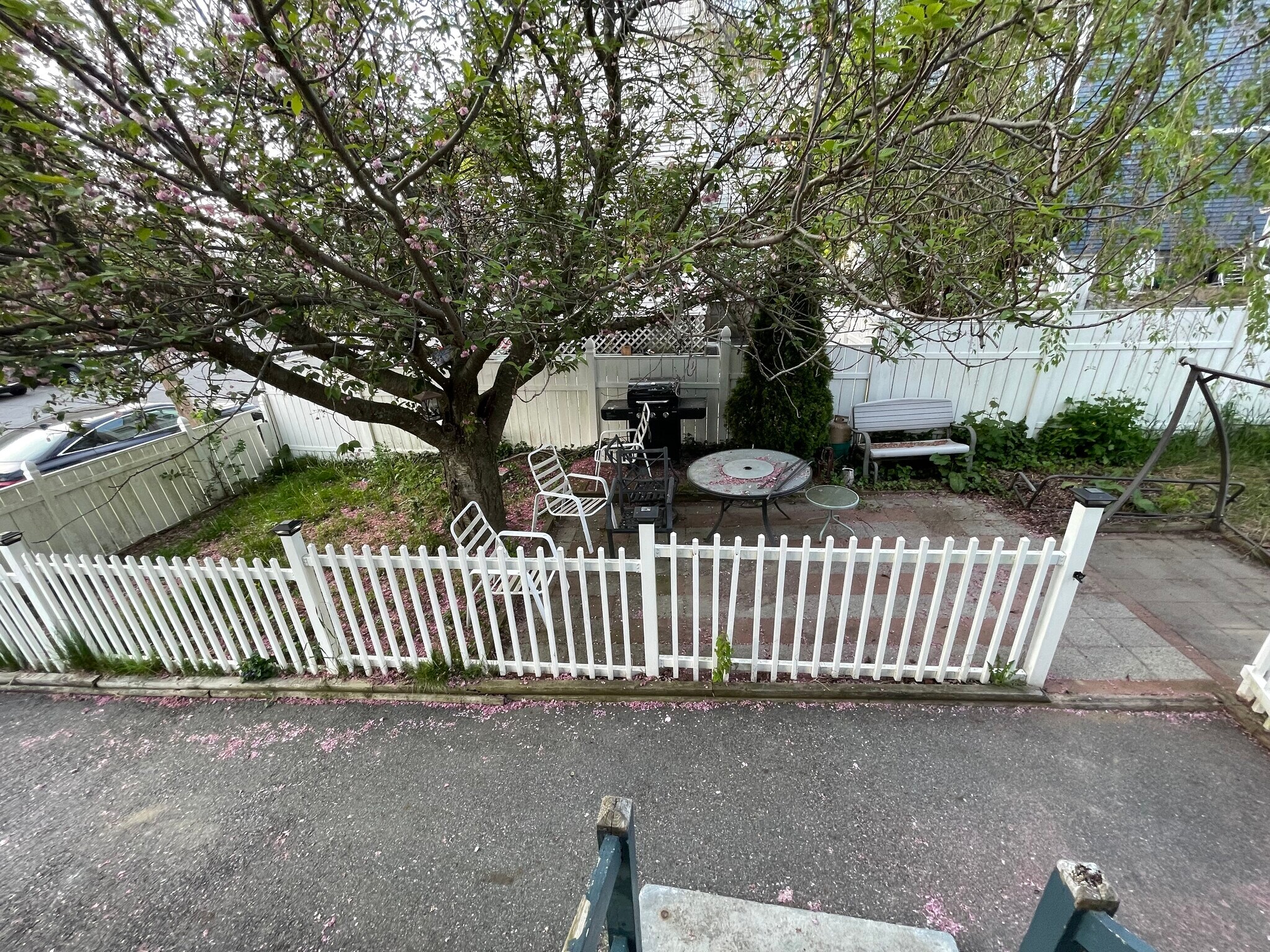 Backyard - 38 6th St
