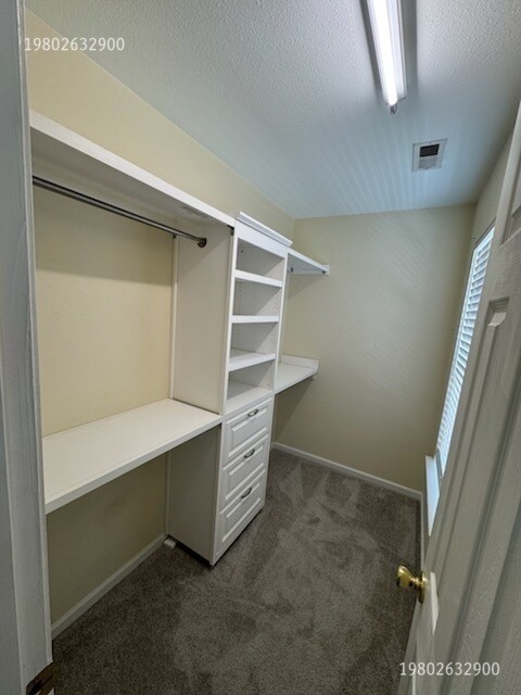 Building Photo - 5551 Santeelah Ct