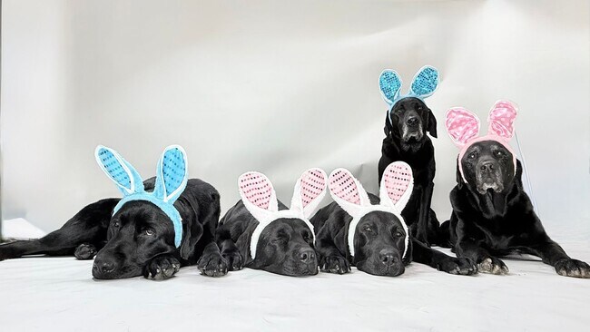 Building Photo - Available now—and easier to get into than a parking spot at the Beach! Rents always include high ...