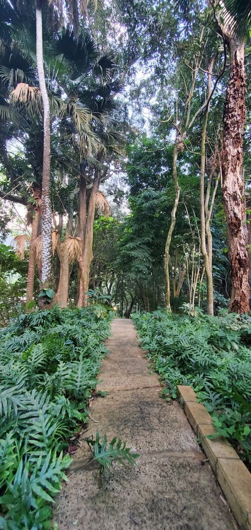 Building Photo - Eden at Haiku - Lush tropical forest setting under the Koolau Mountains