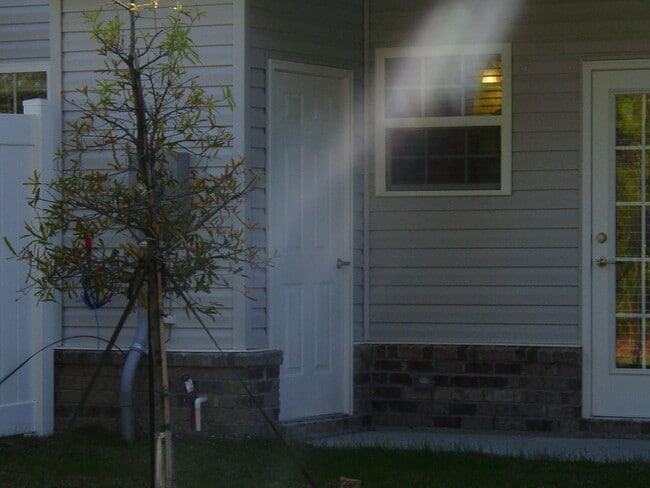 Building Photo - 104 Ventura Pl