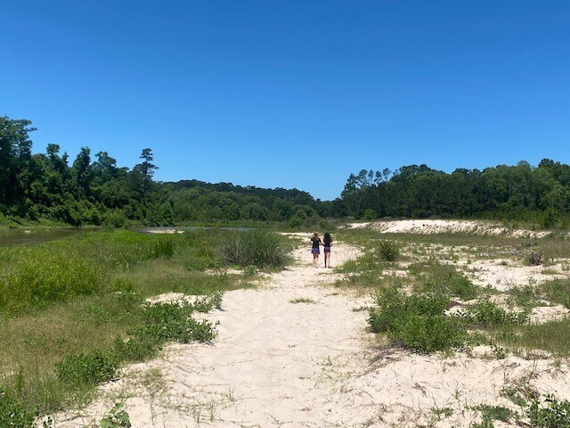 Building Photo - 4639 Sequoia Echo Dr