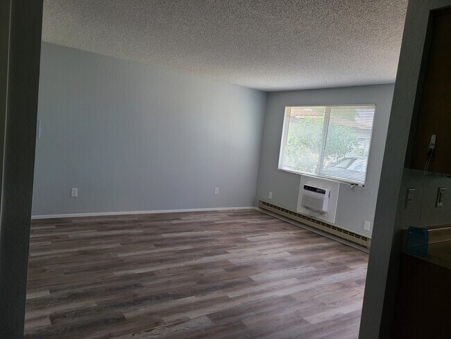 Living Room - 505 Richards Rd
