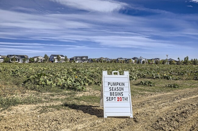 Building Photo - 2060 Autumn Moon Dr