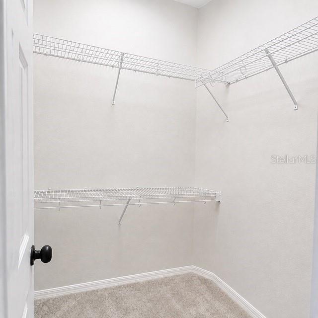 Building Photo - 10451 Andover Point Cir