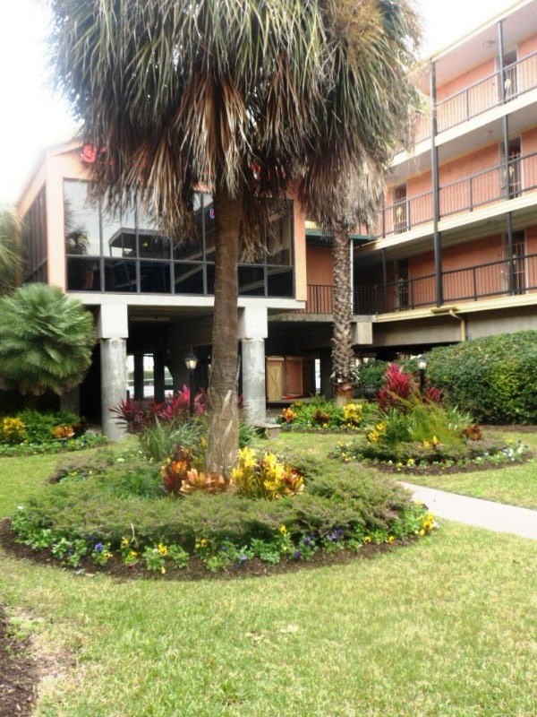 Building Photo - 6300 Seawall Blvd