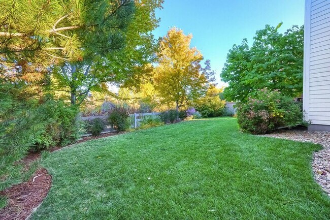 Building Photo - 2421 Rose Ct