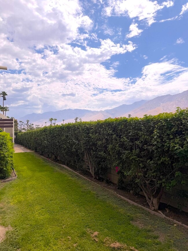Building Photo - 1655 E Palm Canyon Dr