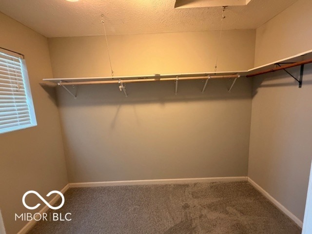 Building Photo - 14253 Prairie Meadows Dr