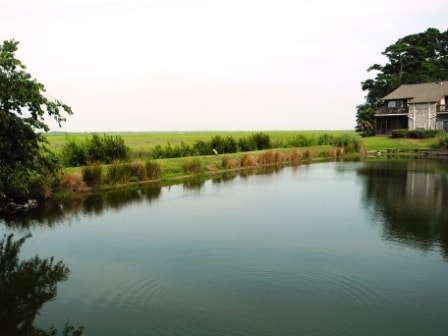 Building Photo - 217 Bull River Bluff Dr