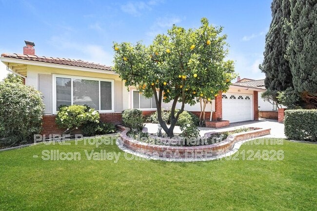 Building Photo - 418 Palo Verde Dr