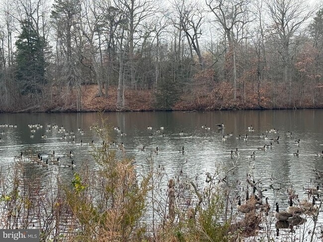 Building Photo - 448 Lake Ave