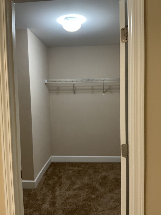 Building Photo - 222 Buttonbush Ct