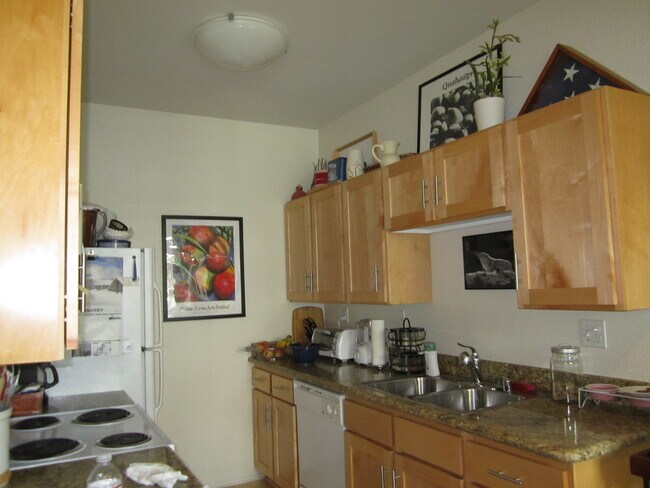 Building Photo - 117 Bayside Ct