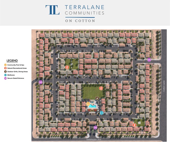 Primary Photo - TerraLane on Cotton