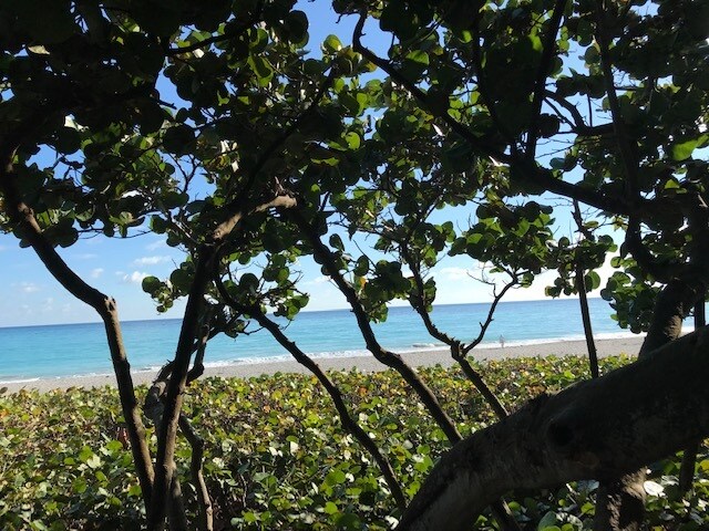 Building Photo - 1420 Ocean Way