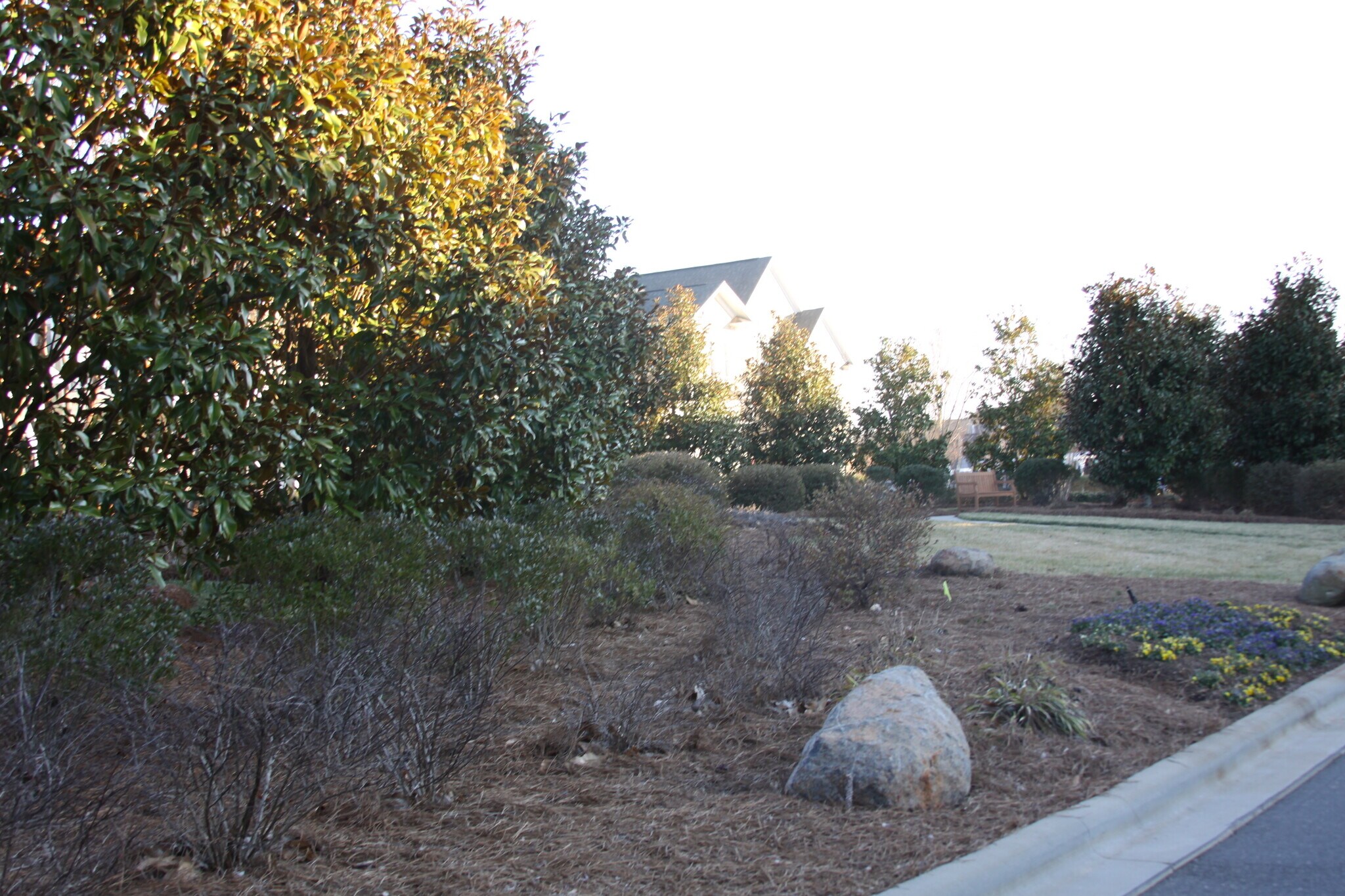Building Photo - 10519 Royal Winchester Dr