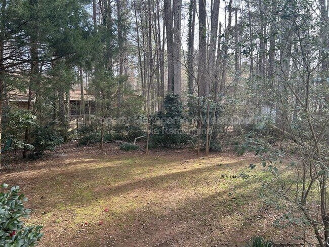 Building Photo - 207 Trillingham Ln