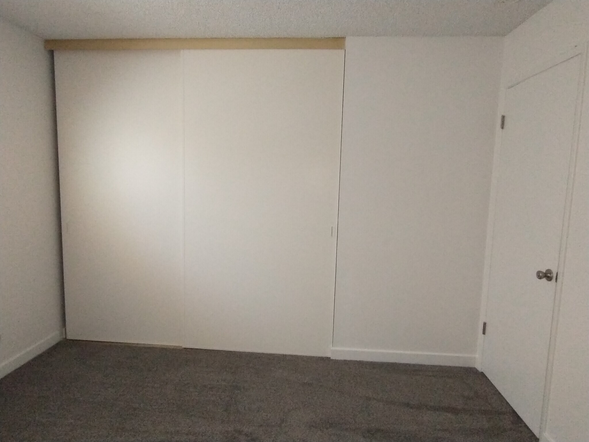 Building Photo - 5289 Balhan Ct