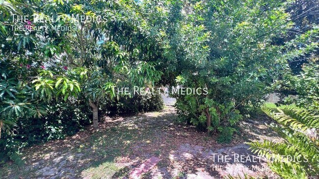 Building Photo - 904 Hall St