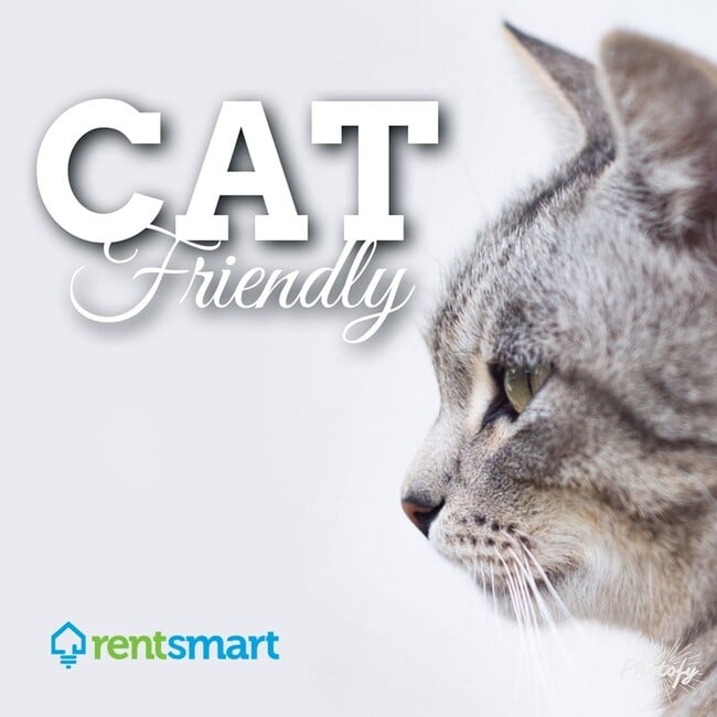 Building Photo - 1333 Toole Ave