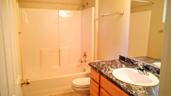 Master Bath - 3007 Mt Vista Rd