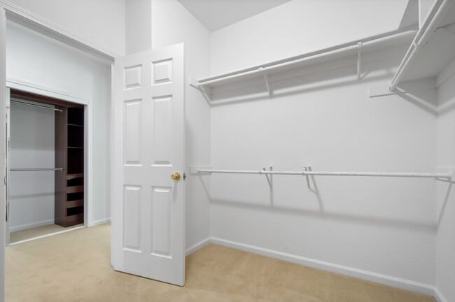 Building Photo - 991 Zephyr Ct