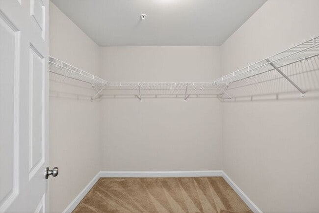 Building Photo - 559 English Oak Ln