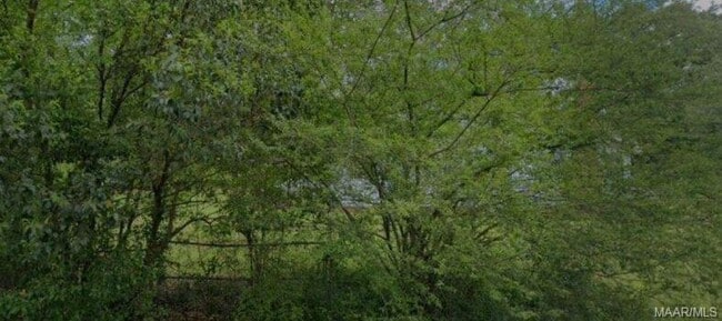 Building Photo - 3316 Branch St