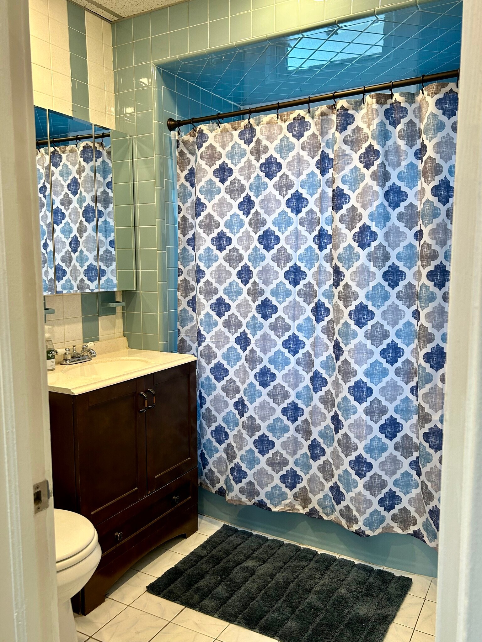 UPDATED BATH - 227 N 15th St