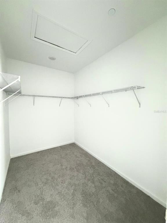 Building Photo - 2392 Rider Rain Ln