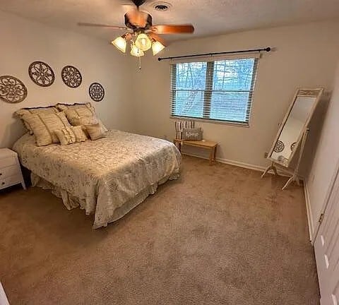 Building Photo - 106 Carey Ln