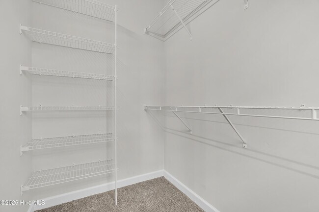 Building Photo - 1115 Carteret Mnr Dr