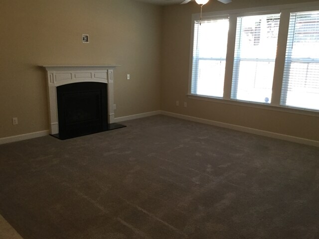 Building Photo - 729 Tree Green Ln