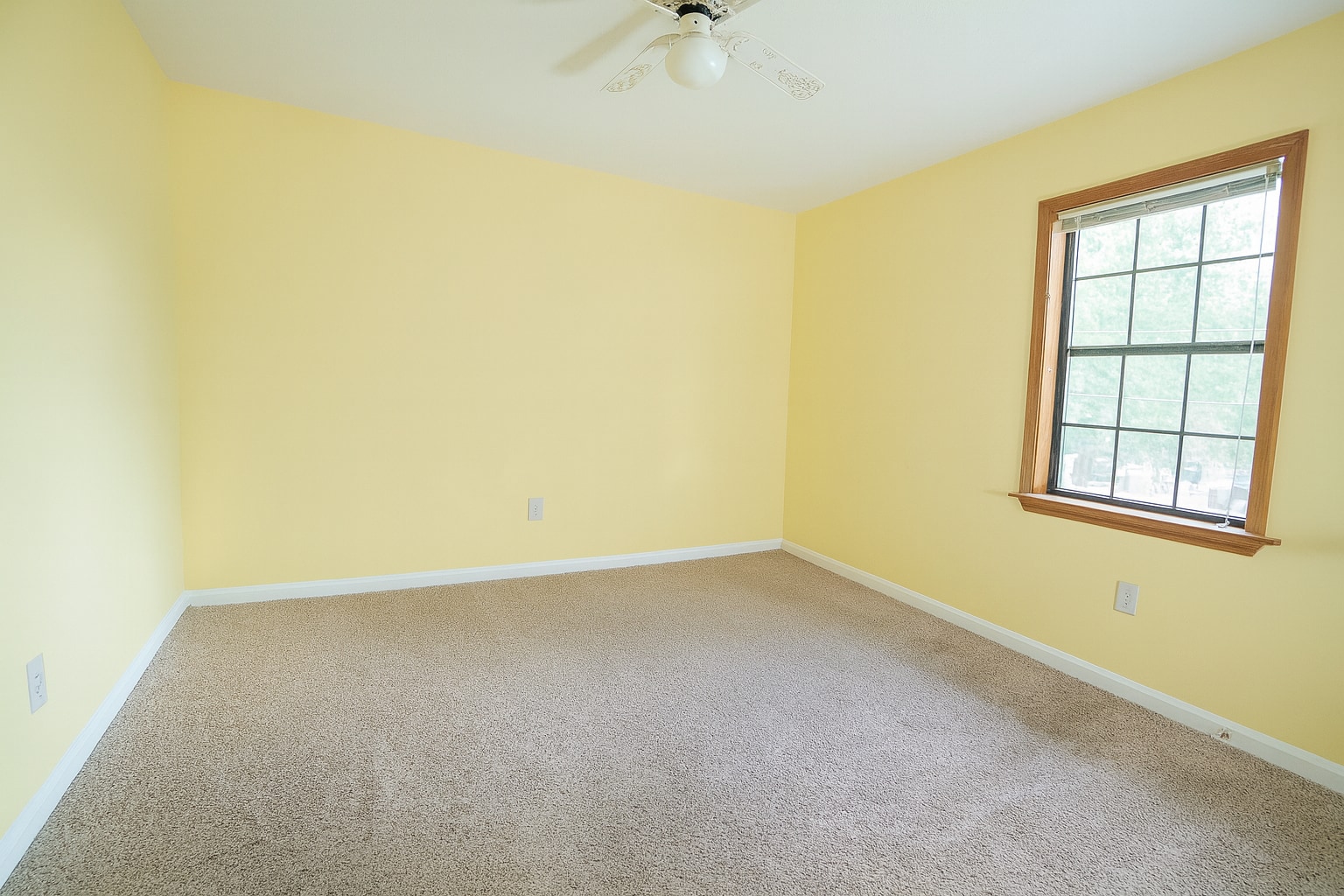 Bright guest bedroom with soft light, neutral carpet, and cheerful yellow walls. - 2313 Salem West Dr
