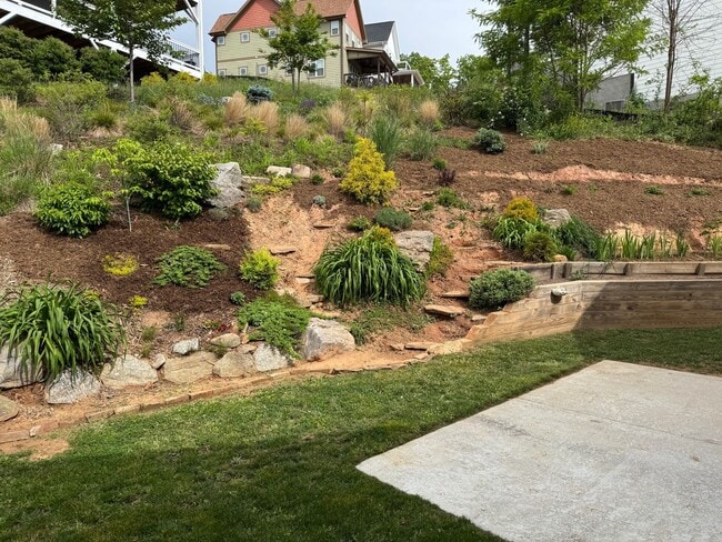 Building Photo - Black Mountain - Gardeners Delight!!