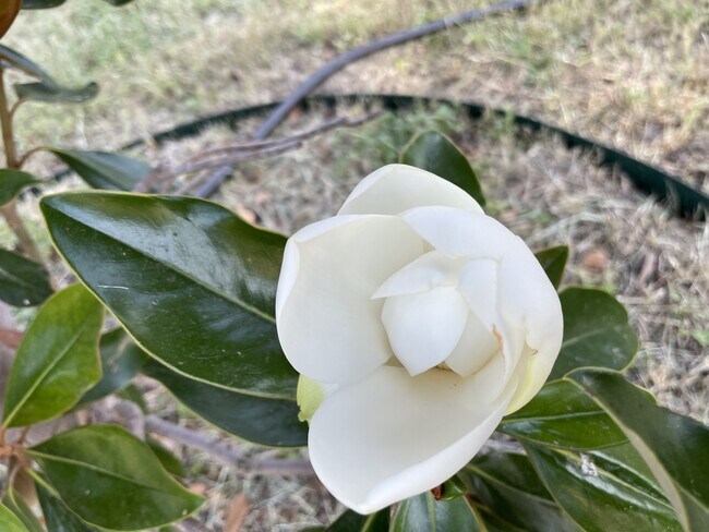 Building Photo - 2609 Herring Ave