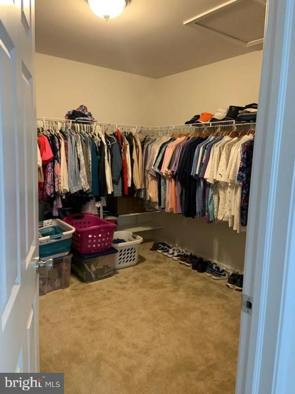 Building Photo - 30 S Tompkins Square