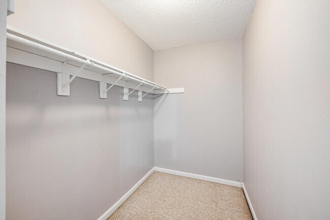 Building Photo - 8584 Cislo Ct