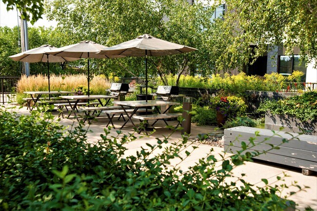 The Courtyard - The Murals of LynLake