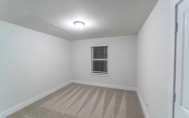 Building Photo - 213 Alicante Ln