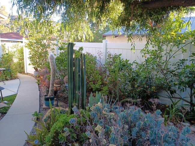 view out front door - 7649 Beckett St
