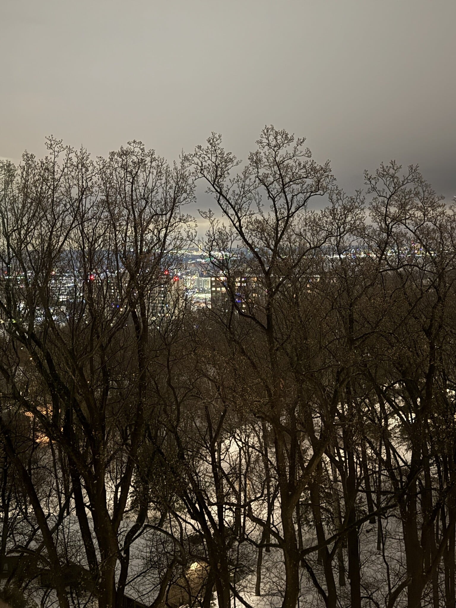 View from the balcony - 5901 Mt Eagle Dr