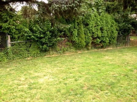 Building Photo - Beautifully Updated 4-Bedroom Home with Large Fenced Yard & Fire Pit