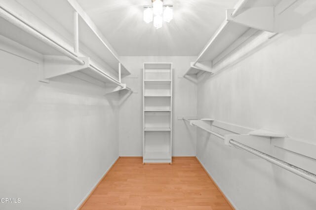 Building Photo - 4210 Vía Arbolada