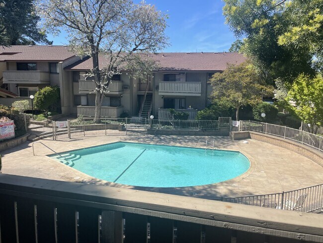 Primary Photo - "Modern 1 Bed Condo in Prime Walnut Creek ...