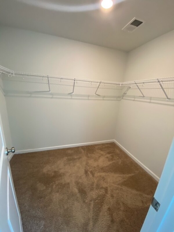 Building Photo - 811 Millsgrove Ct