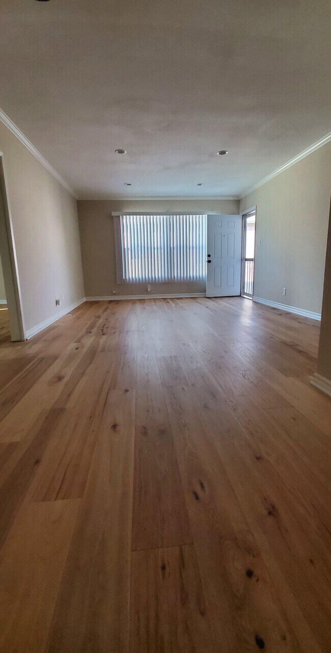 Living room - 1117 Shenandoah St