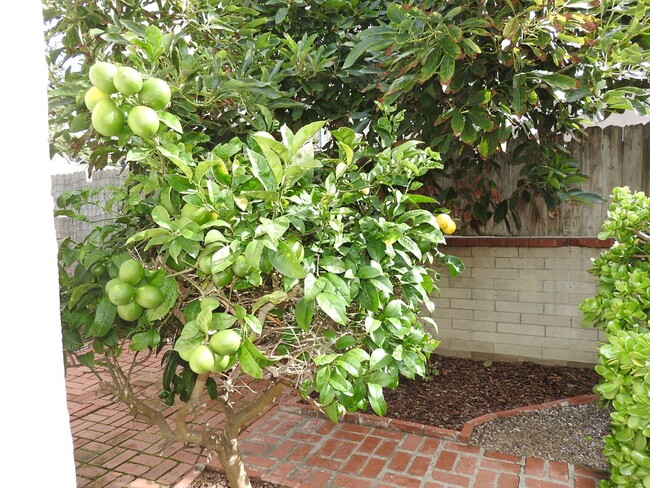 Building Photo - Charming Spanish House with Secluded Yard