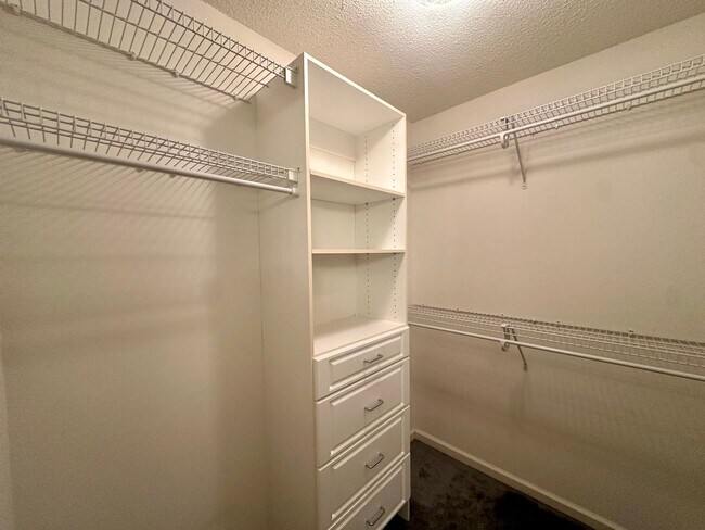 Building Photo - 1504 Sawgrass Ln